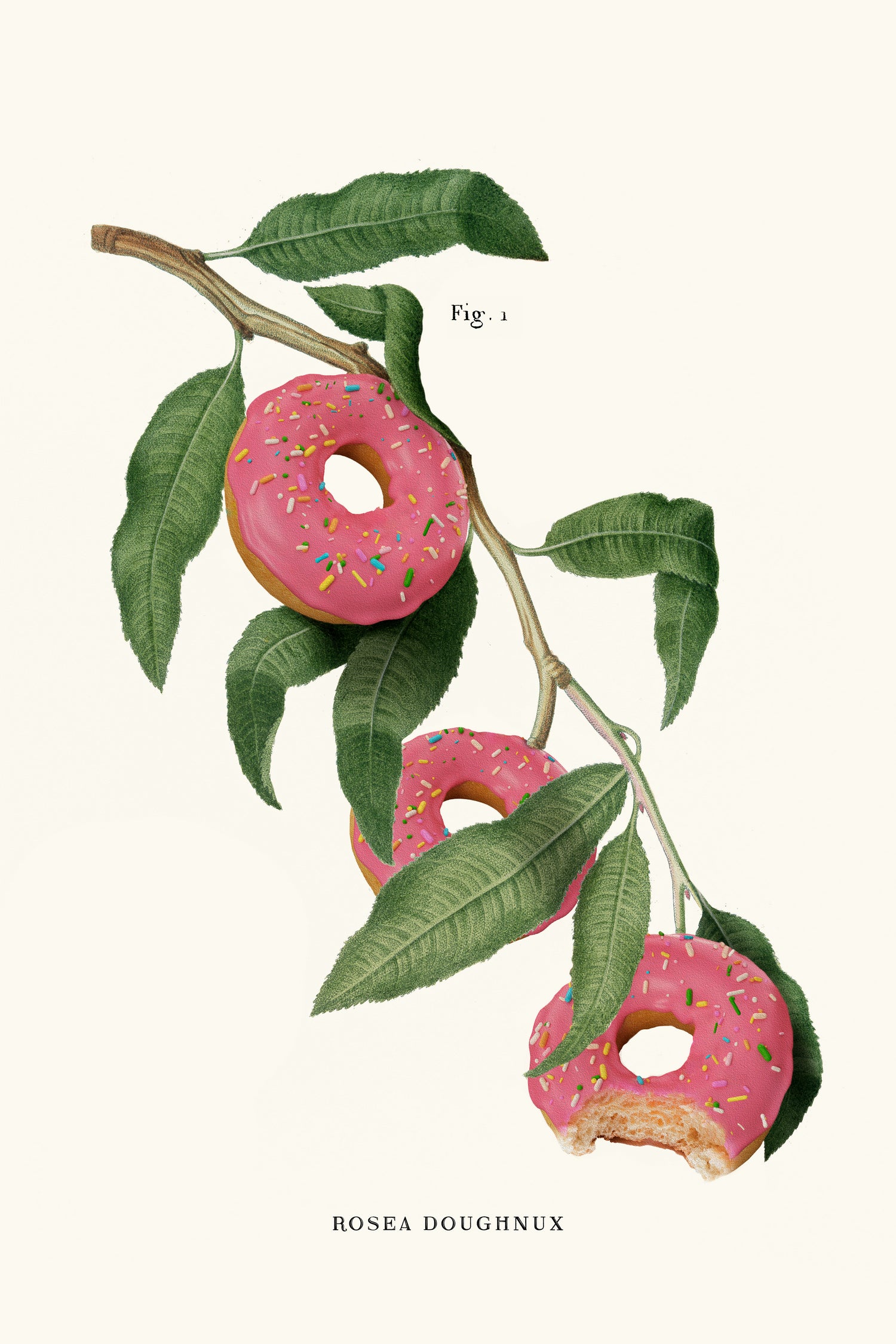 Donut Plant by Jonas Loose on GIANT ART - pink digital drawing