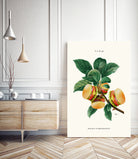 Burger Plant by Jonas Loose on GIANT ART - green digital drawing