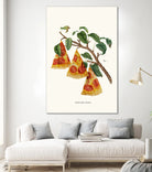 Pizza Plant by Jonas Loose on GIANT ART - orange digital drawing