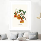 Pizza Plant by Jonas Loose on GIANT ART - orange digital drawing