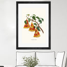 Pizza Plant by Jonas Loose on GIANT ART - orange digital drawing