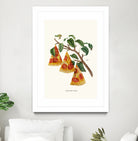 Pizza Plant by Jonas Loose on GIANT ART - orange digital drawing