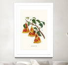 Pizza Plant by Jonas Loose on GIANT ART - orange digital drawing