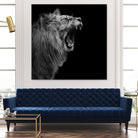 Lion in black and white by Lukas Holas on GIANT ART - black photo manipulation