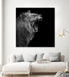 Lion in black and white by Lukas Holas on GIANT ART - black photo manipulation