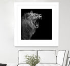 Lion in black and white by Lukas Holas on GIANT ART - black photo manipulation