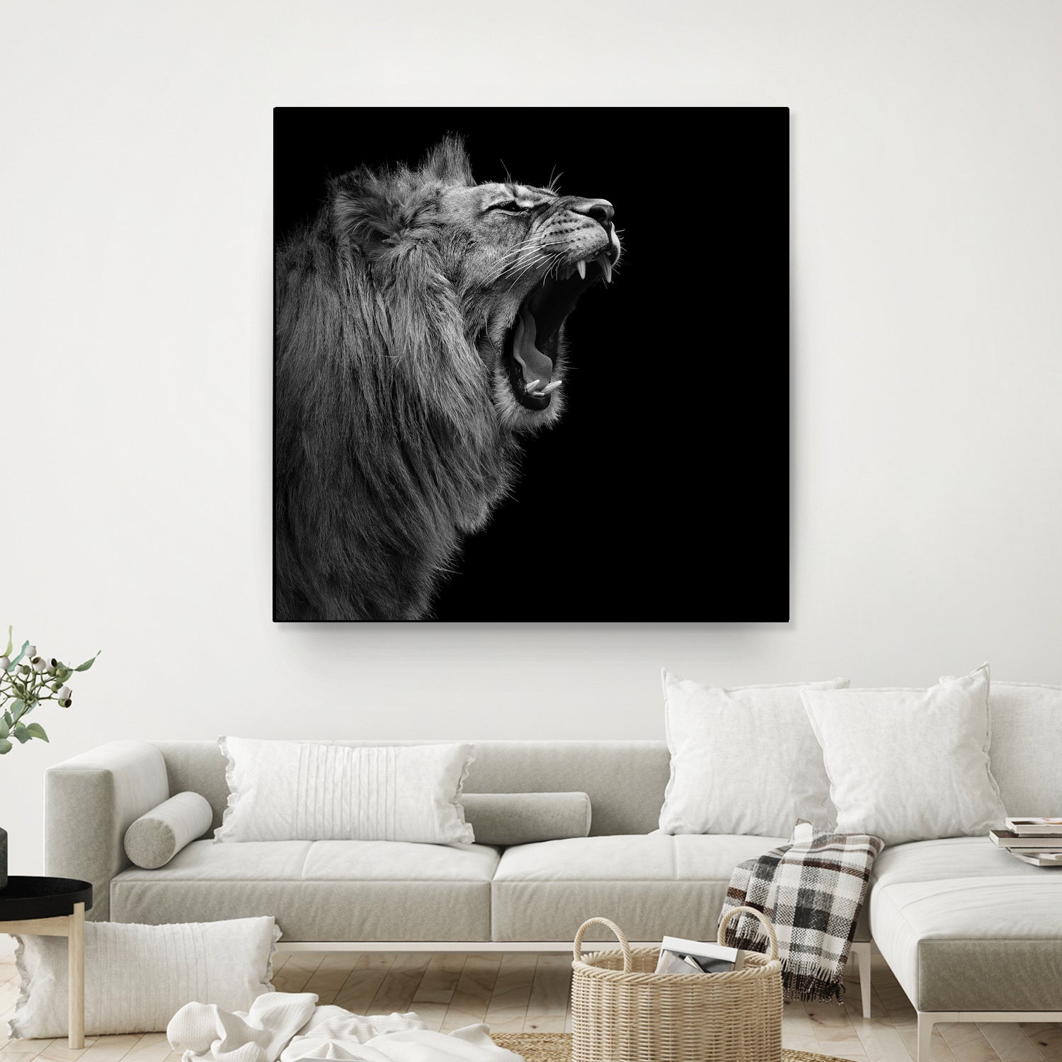 Lion in black and white by Lukas Holas on GIANT ART - black photo manipulation