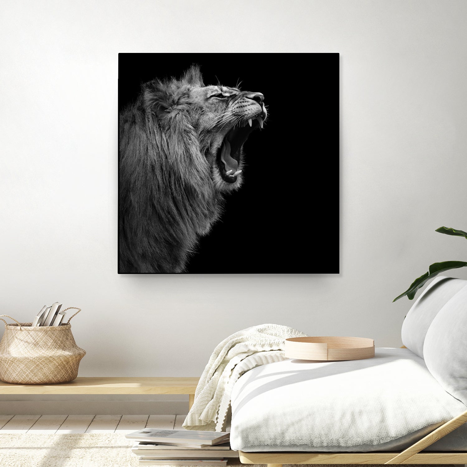 Lion in black and white by Lukas Holas on GIANT ART - black photo manipulation