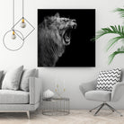 Lion in black and white by Lukas Holas on GIANT ART - black photo manipulation