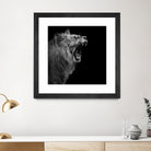 Lion in black and white by Lukas Holas on GIANT ART - black photo manipulation