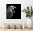 Lion in black and white by Lukas Holas on GIANT ART - black photo manipulation