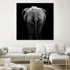 Elephant In Black And White by Lukas Holas on GIANT ART - black photo manipulation