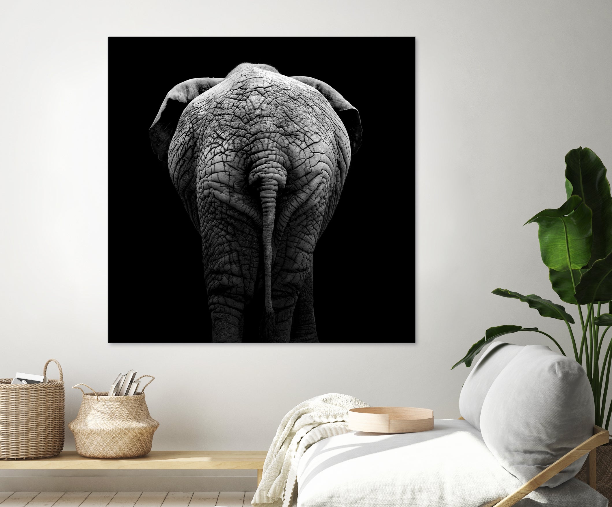 Elephant In Black And White by Lukas Holas on GIANT ART - black photo manipulation