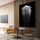 Elephant In Black And White by Lukas Holas on GIANT ART - black photo manipulation