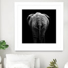 Elephant In Black And White by Lukas Holas on GIANT ART - black photo manipulation