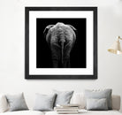 Elephant In Black And White by Lukas Holas on GIANT ART - black photo manipulation