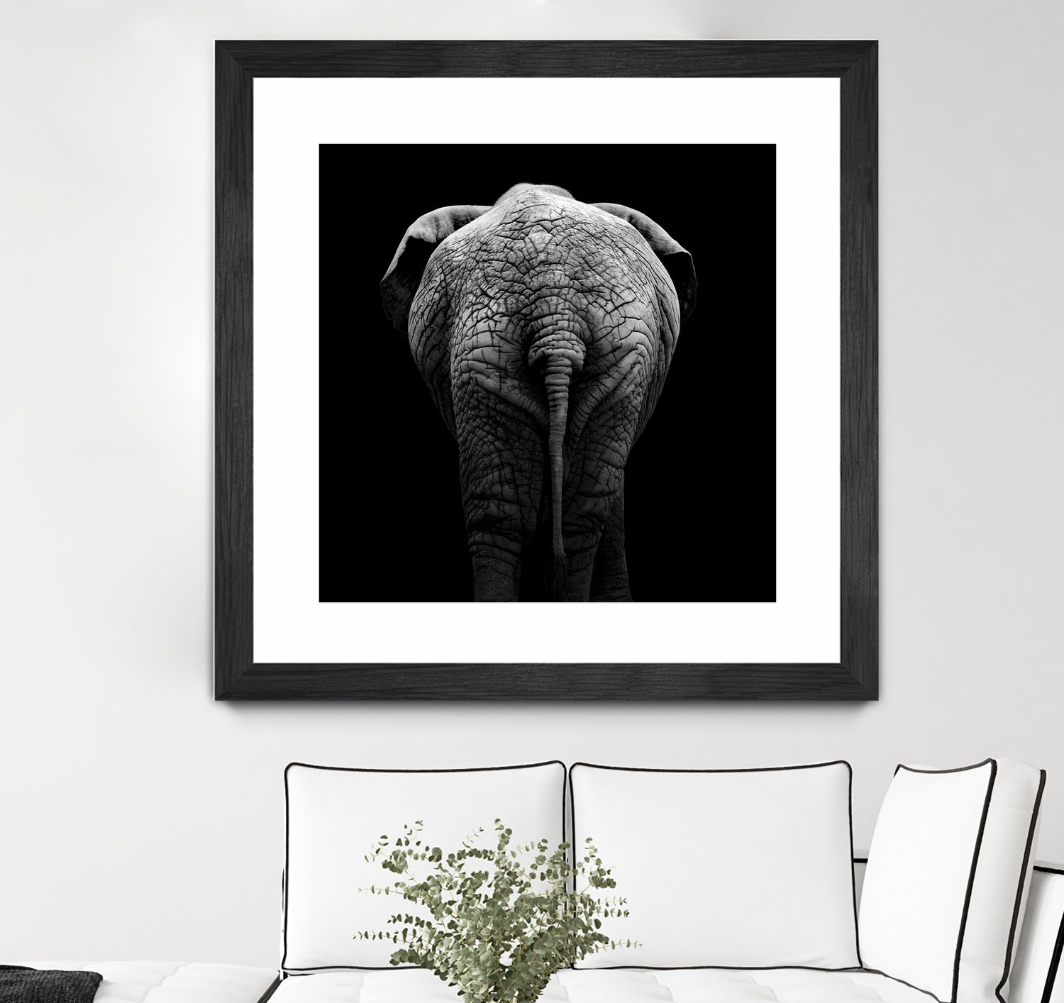 Elephant In Black And White by Lukas Holas on GIANT ART - black photo manipulation