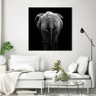 Elephant In Black And White by Lukas Holas on GIANT ART - black photo manipulation