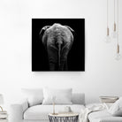 Elephant In Black And White by Lukas Holas on GIANT ART - black photo manipulation