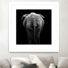 Elephant In Black And White by Lukas Holas on GIANT ART - black photo manipulation