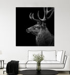 Deer In Black And White by Lukas Holas on GIANT ART - black photo manipulation