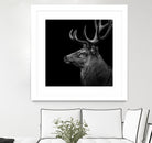 Deer In Black And White by Lukas Holas on GIANT ART - black photo manipulation