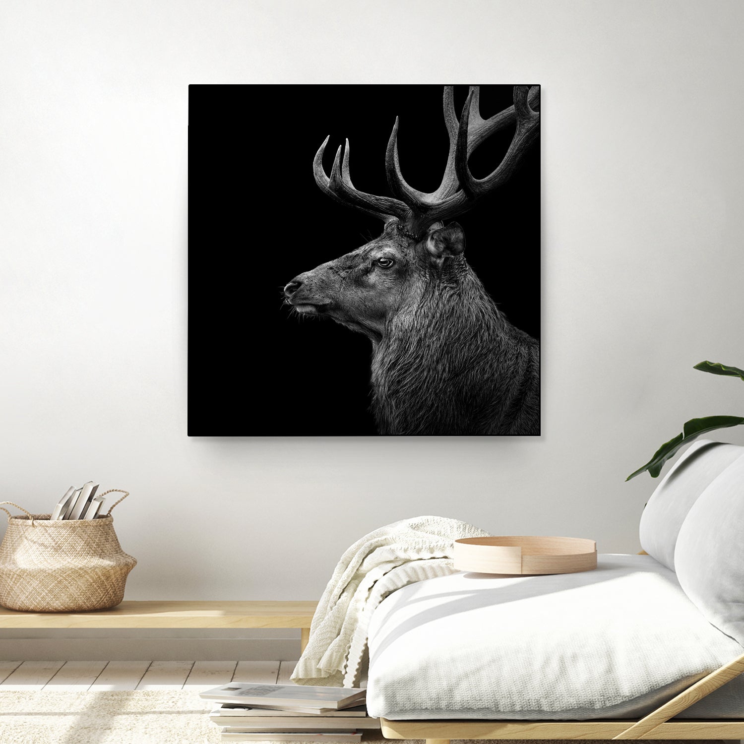 Deer In Black And White by Lukas Holas on GIANT ART - black photo manipulation