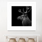 Deer In Black And White by Lukas Holas on GIANT ART - black photo manipulation