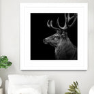 Deer In Black And White by Lukas Holas on GIANT ART - black photo manipulation