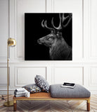 Deer In Black And White by Lukas Holas on GIANT ART - black photo manipulation
