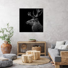 Deer In Black And White by Lukas Holas on GIANT ART - black photo manipulation