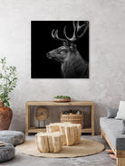 Deer In Black And White by Lukas Holas on GIANT ART - black photo manipulation