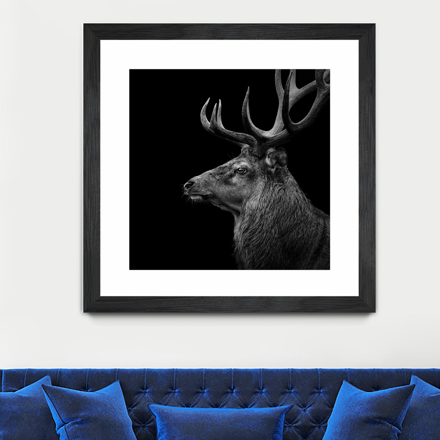 Deer In Black And White by Lukas Holas on GIANT ART - black photo manipulation