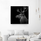 Deer In Black And White by Lukas Holas on GIANT ART - black photo manipulation