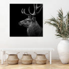 Deer In Black And White by Lukas Holas on GIANT ART - black photo manipulation