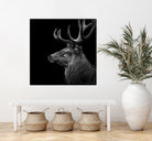 Deer In Black And White by Lukas Holas on GIANT ART - black photo manipulation