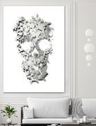 Simple Skull by Ali Gulec on GIANT ART - white digital drawing