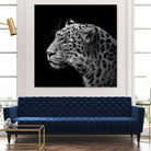 Leopard in black and white by Lukas Holas on GIANT ART - black photo manipulation