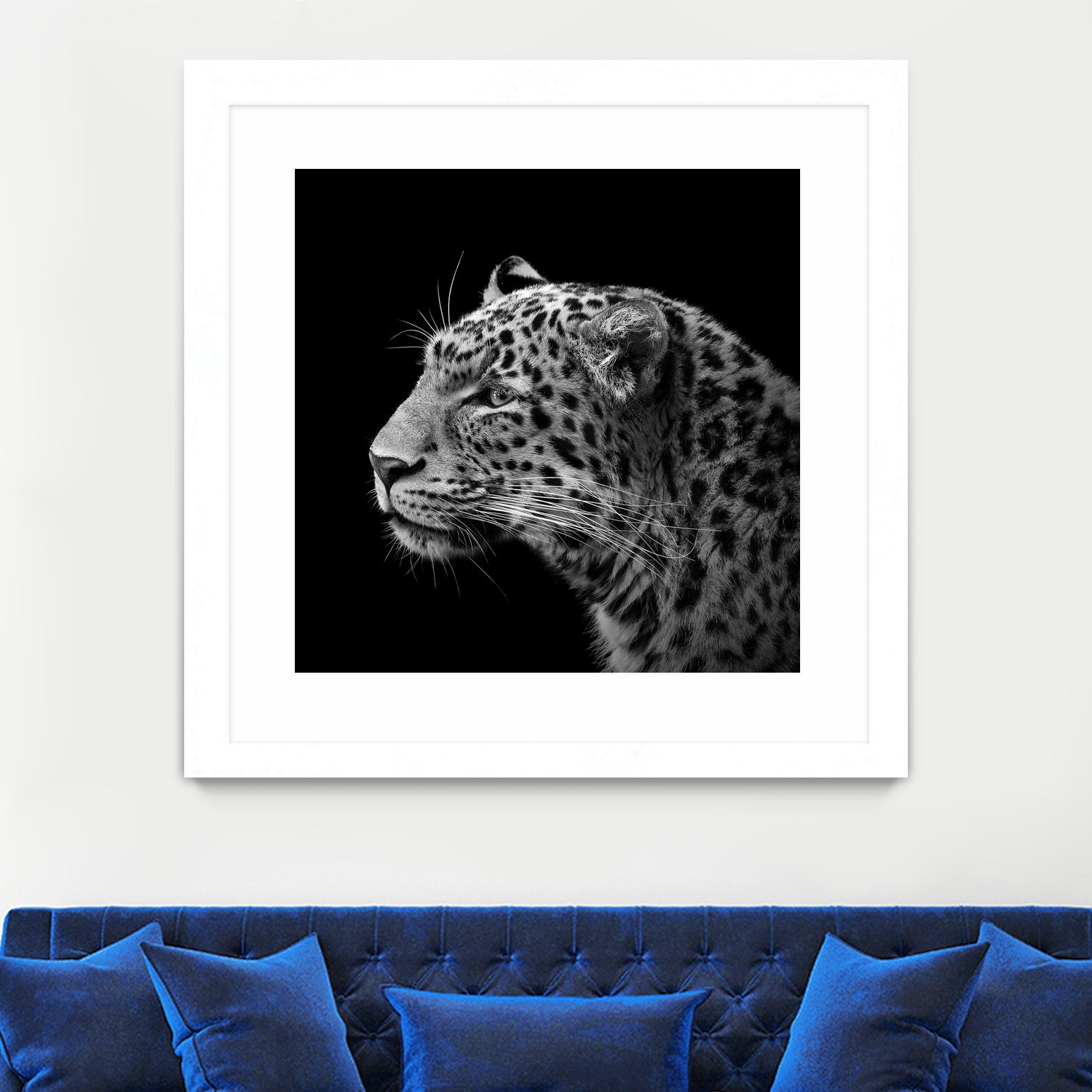 Leopard in black and white by Lukas Holas on GIANT ART - black photo manipulation