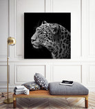 Leopard in black and white by Lukas Holas on GIANT ART - black photo manipulation