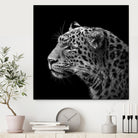 Leopard in black and white by Lukas Holas on GIANT ART - black photo manipulation