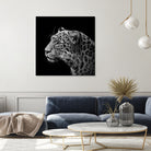 Leopard in black and white by Lukas Holas on GIANT ART - black photo manipulation