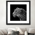 Leopard in black and white by Lukas Holas on GIANT ART - black photo manipulation