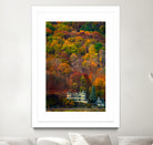 Highland House by Chris Lord on GIANT ART - orange digital painting