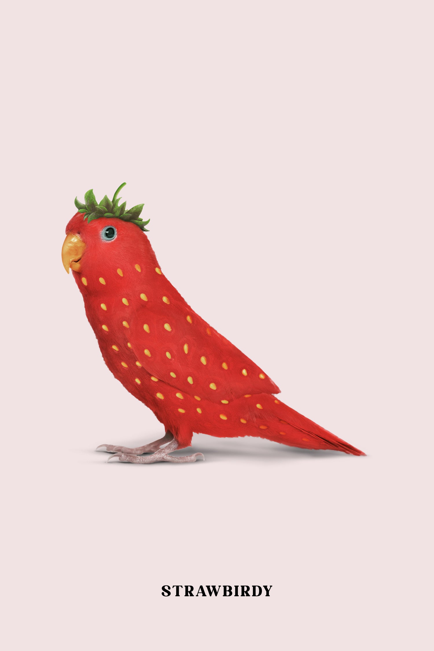 Strawbirdy by Jonas Loose on GIANT ART - red photo manipulation