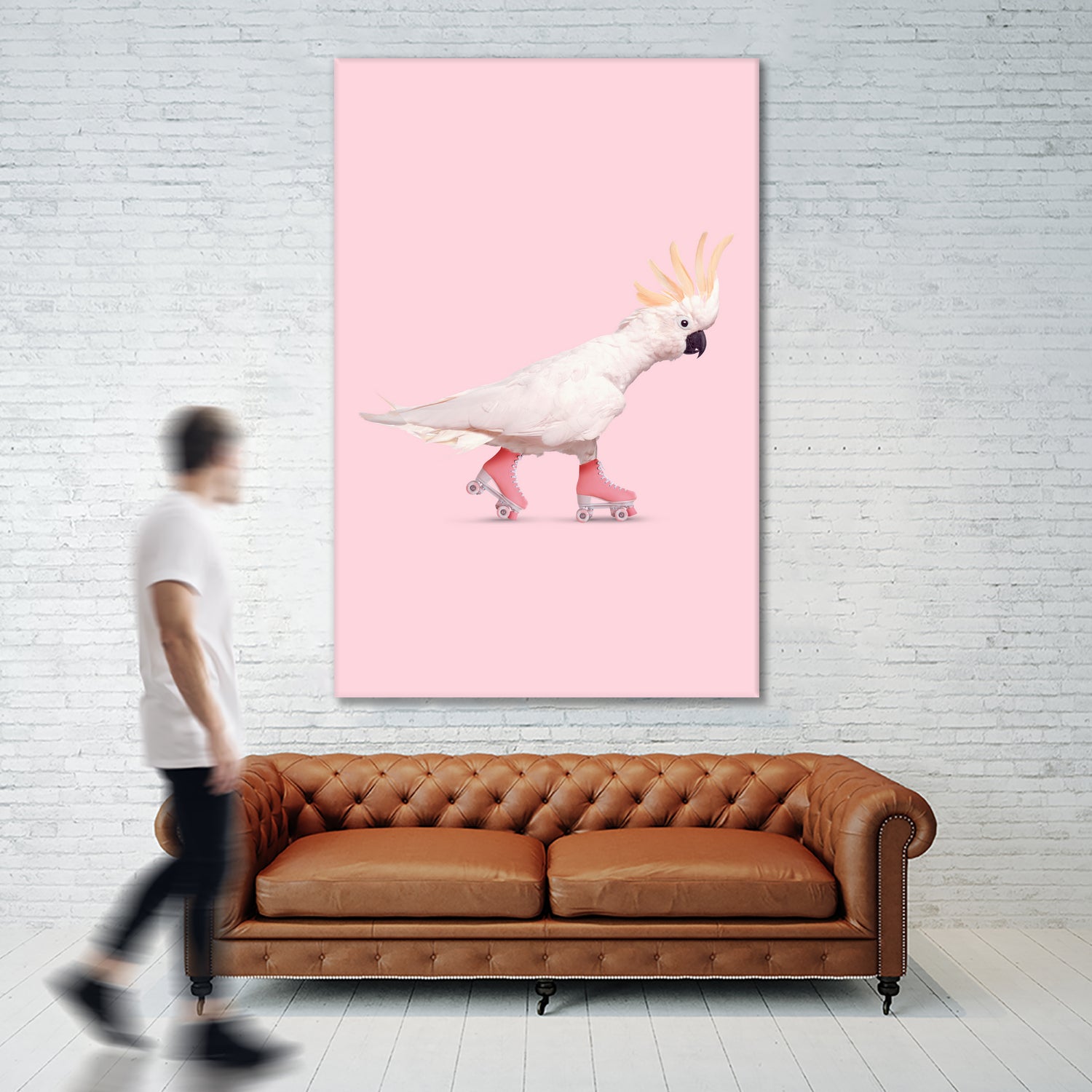 Rollerskating Cockatoo by Jonas Loose on GIANT ART - pink photo manipulation