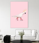 Rollerskating Cockatoo by Jonas Loose on GIANT ART - pink photo manipulation