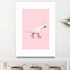 Rollerskating Cockatoo by Jonas Loose on GIANT ART - pink photo manipulation