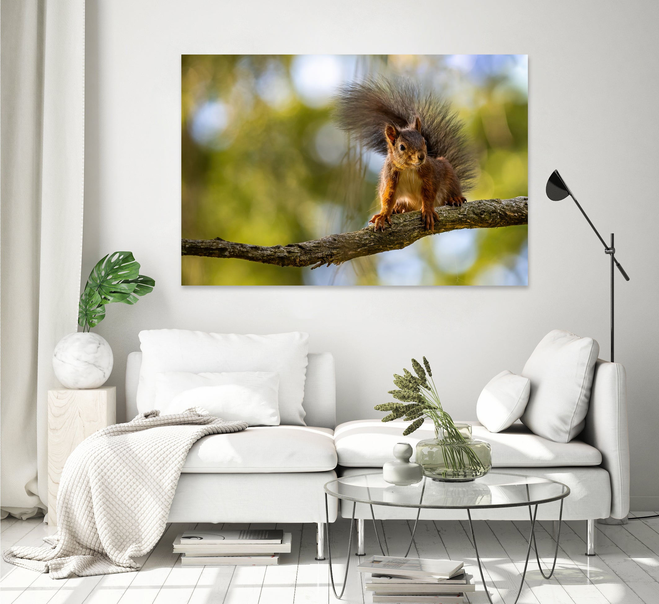 Ecureuil by NICOLAS GROFFAL on GIANT ART - brown photo illustration