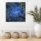 Moonlight Trees by Igor Zenin on GIANT ART - blue digital painting